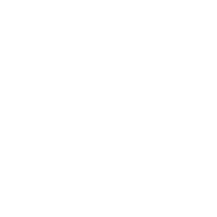 Noire Logo